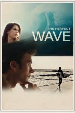The Perfect Wave (2015)
