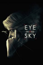 Eye in the Sky (2015)