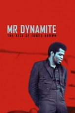 Mr. Dynamite: The Rise of James Brown (2014)