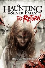 A Haunting at Silver Falls The Return  (2019)