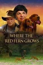 Where the Red Fern Grows  (2003)