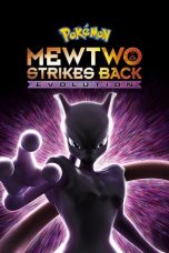 Mewtwo Strikes Back Evolution (2019)