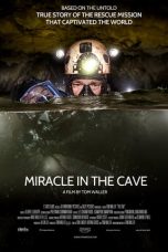 The Cave Miracle in the Cave (2019)